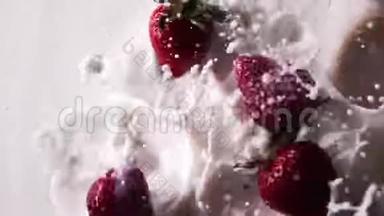 一滴牛奶和一串成熟的红色草莓果实落入白色盘子里，牛奶溅了出来。 顶部视图